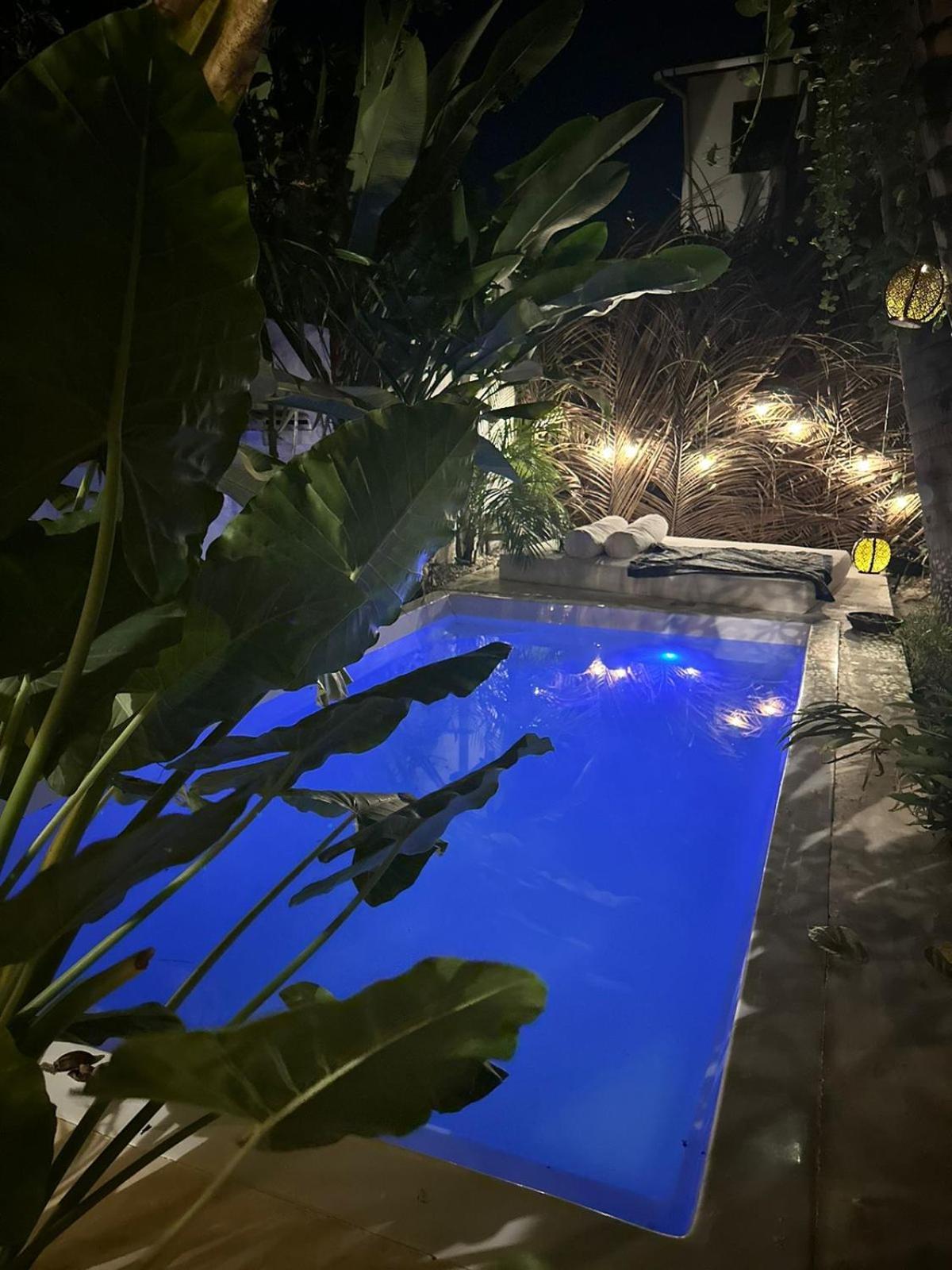 Casa jeri Tinyhouse Microcasa cozina jardim piscina 350m praia dunas parque national kite Jijoca de Jericoacoara Exterior foto